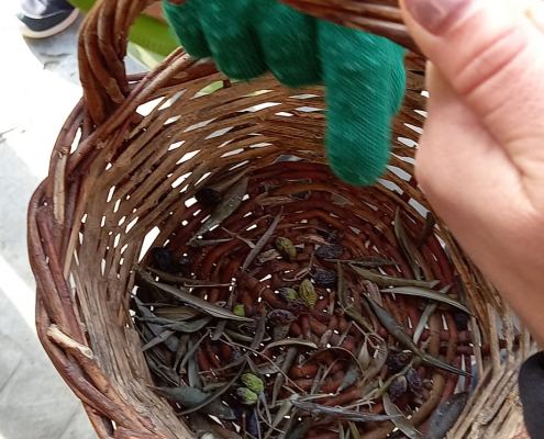 426108970_725805856197239_6153723278948625369_n