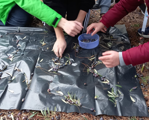 426126807_725807692863722_4453798593300556701_n