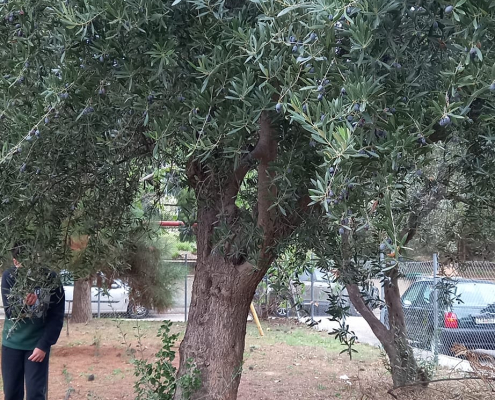 426132774_725807616197063_5331119975852217006_n