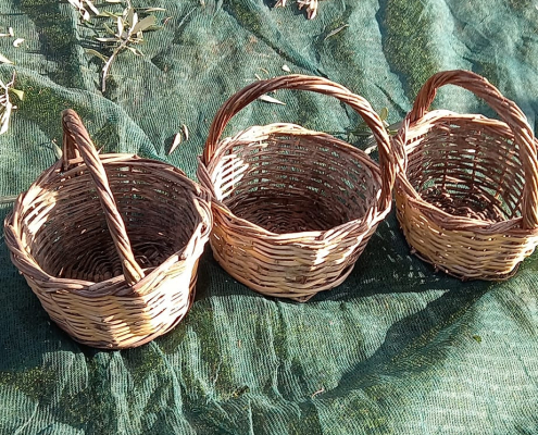 426140652_725805266197298_4895242168169218530_n