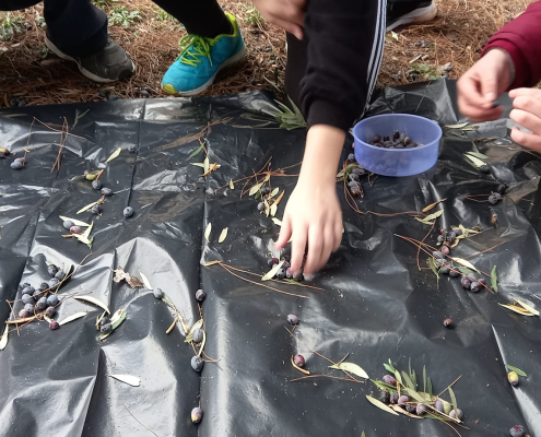 426153709_725807806197044_7832203082511872011_n