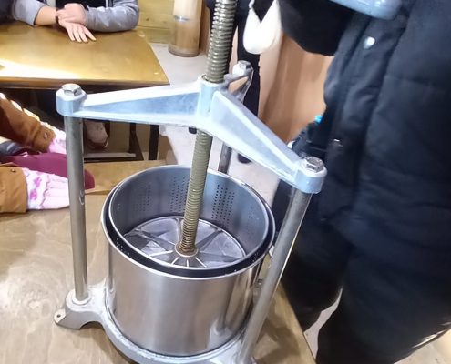 426157016_725806446197180_6629519922204289265_n