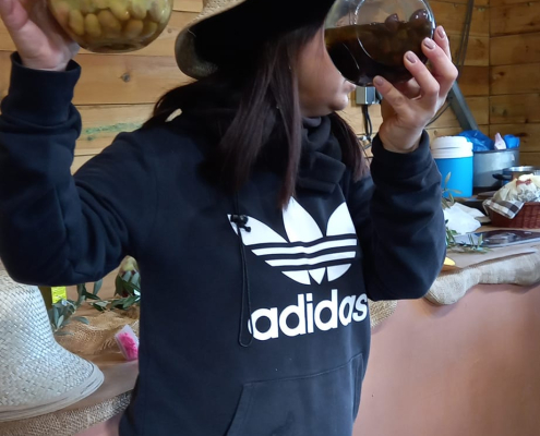 426161096_725806509530507_3046028252437991340_n