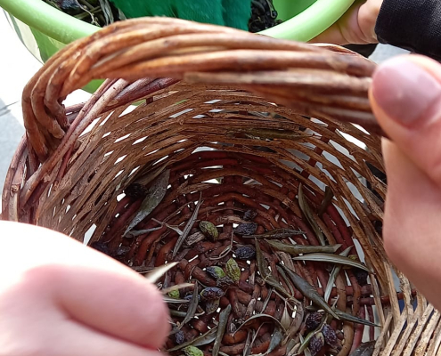 426163923_725805646197260_1902865114097349186_n