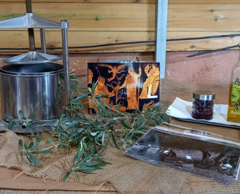 426164766_725805996197225_7366306387496906938_n