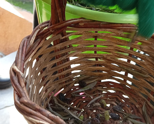 426190778_725805559530602_4396010475834246606_n