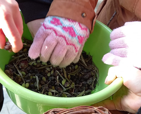 426195263_725805436197281_7383619690556568544_n